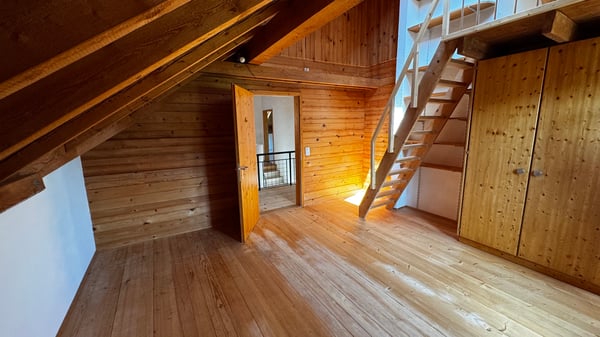 Freistehendes Einfamilienhaus mit grossem Garten 3