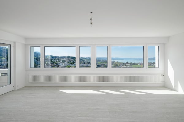Beste Aussicht im Höchsten Penthouse von Pfäffikon SZ 4