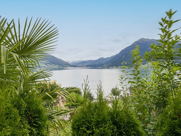 WATERVIEW 2.0 | Immensee 1