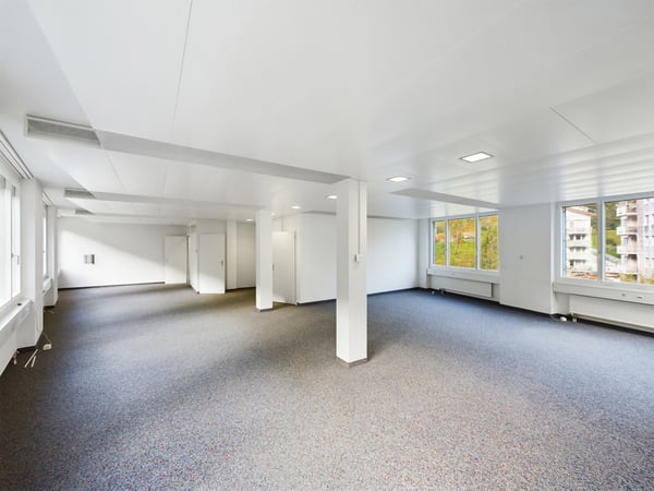 Geschäftshaus mit grossem Entwicklungspotenzial an guter Lage in Luzer 8