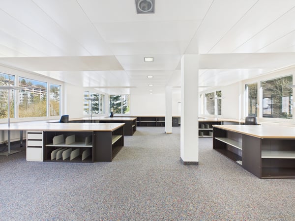 Geschäftshaus mit grossem Entwicklungspotenzial an guter Lage in Luzer 7