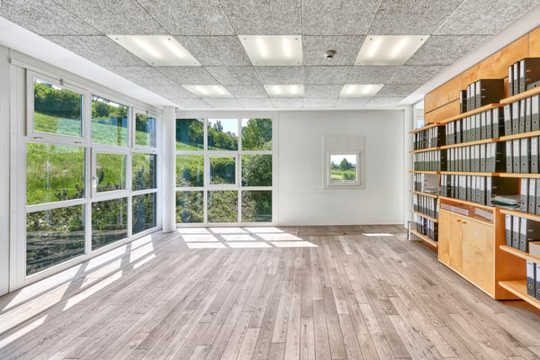 Attraktive Büros plus Option bis 5'600 m² Gewerbe / Lager 5