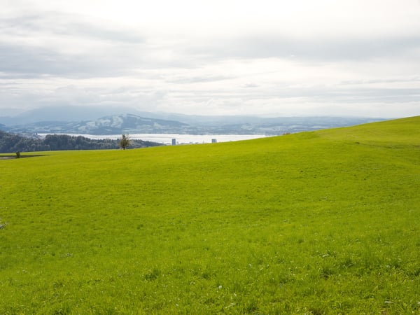 Wohn- und Geschäftshaus mit grossem Entwicklungspotenzial im Kanton Zu 4