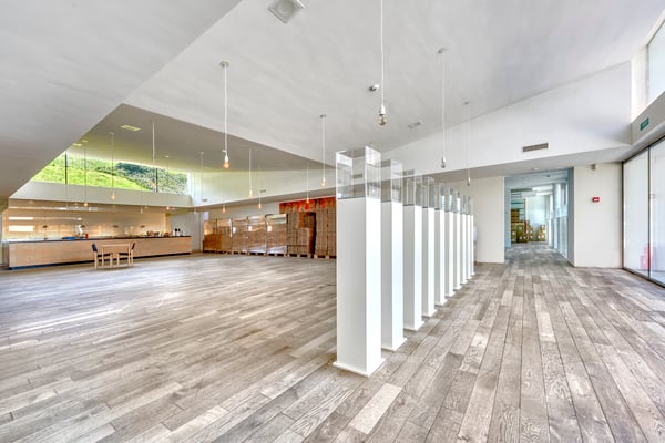 Gewerbe-Bauland plus zwei Bürogebäude 5