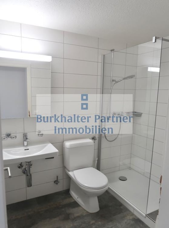 4.5-Zimmerwohnung mit Blick auf die Alpenkette! 3