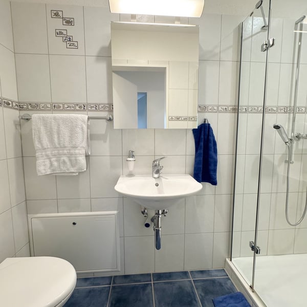 Charmante 1.5-Zimmer Gartenwohnung mit grossem Aussenbereich 10