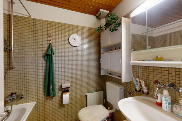 6.5-Zimmer Eckhaus mit grosszügigem Garten 8