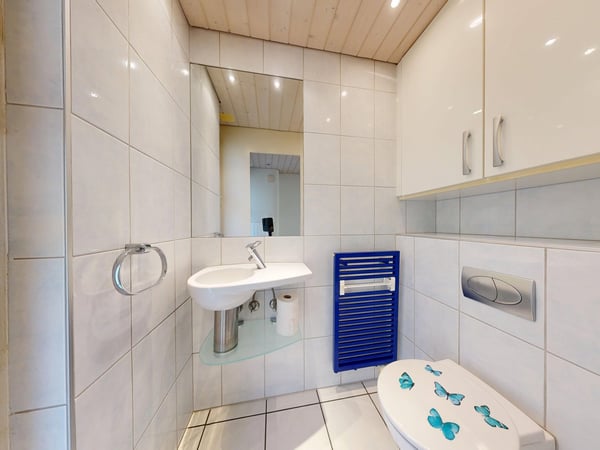 5-Zimmer-Einfamilienhaus mit eigener Naturoase 10