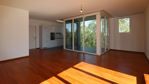 Moderne 1 1/2-Zimmer-Attika-Wohnung mit grossartiger Aussicht 3