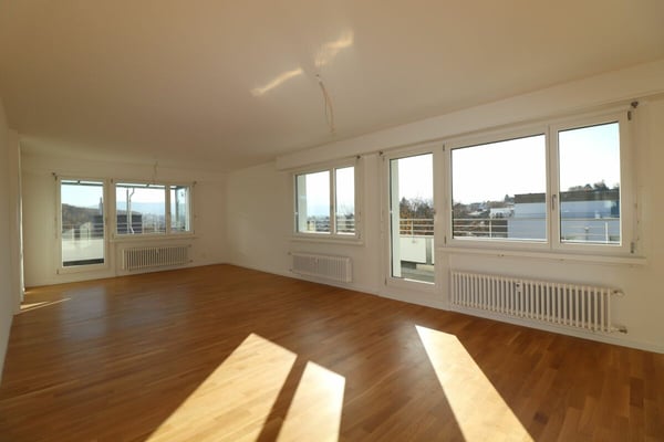 Wohnen im Fürstenrain - moderne 1 1/2-Zimmer-Dachwohnung 1