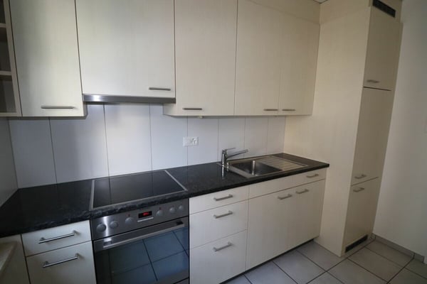 Nähe Uni und Spital - schöne 1-Zimmerwohnung für 1 - 2 Personen zu vermieten 3