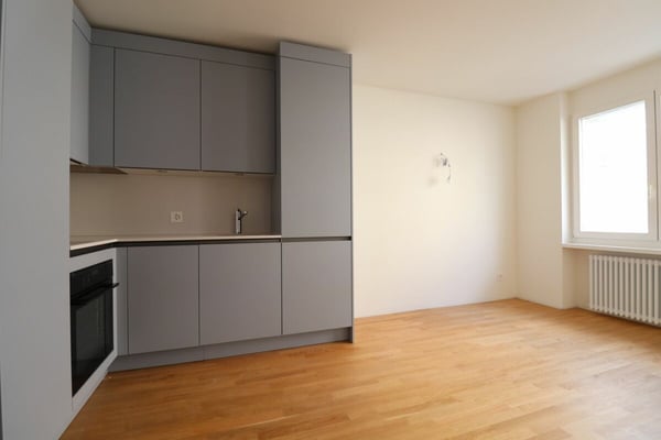 Erstvermietung nach Neuausbau - 1 ½-Zimmer-Wohnung im Gundeli (nähe Bahnhof SBB) 1