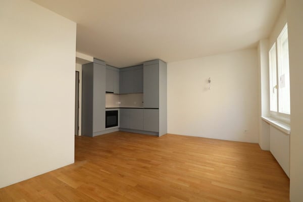 Erstvermietung nach Neuausbau - 1 ½-Zimmer-Wohnung im Gundeli (nähe Bahnhof SBB) 2