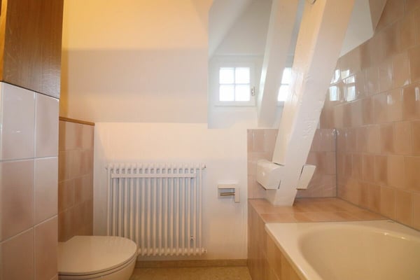 Umfassend sanierte Dachgeschosswohnung an der Holbeinstrasse 32 8