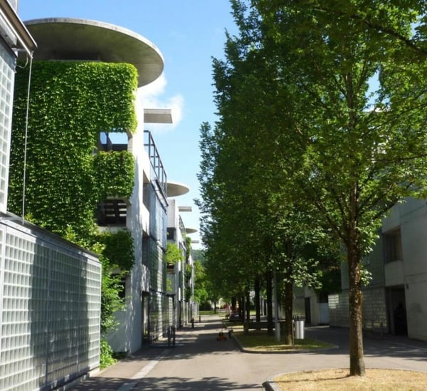 Gemütliche Seniorenwohnung im Herzen von Riehen 10