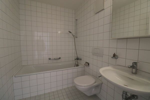 Zwischen Dreirosenbrücke und Musical Theater - gemütliche 1-Zimmerwohnung in Kleinbasel zu vermieten 11