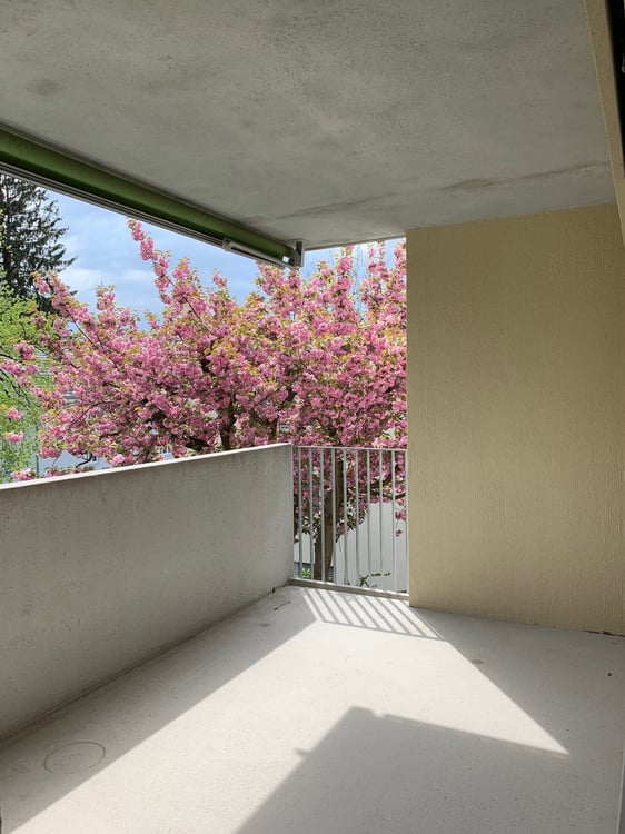 grosszügige 3.5-Zimmerwohnung 6