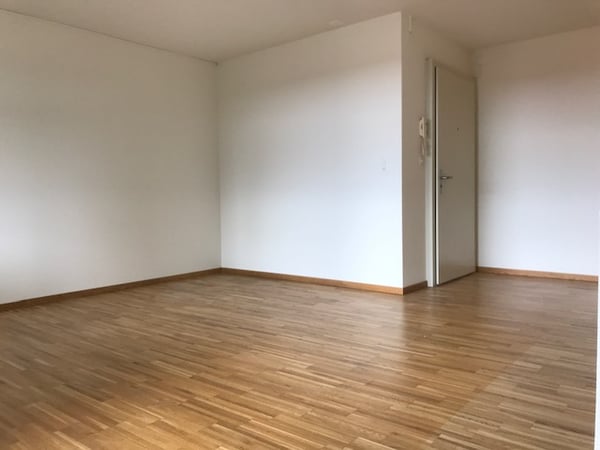 grosszügige 3.5-Zimmerwohnung 4
