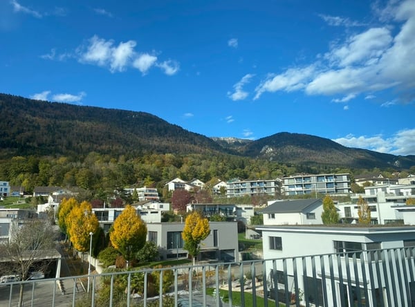 Sonnige Attika mit grosser Terrasse (photo 1 of 7)