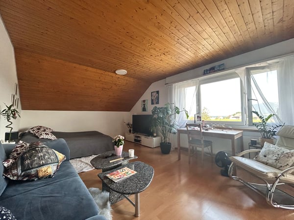 Charmante 2.5-Zimmer-Dachwohnung mit Garage 6