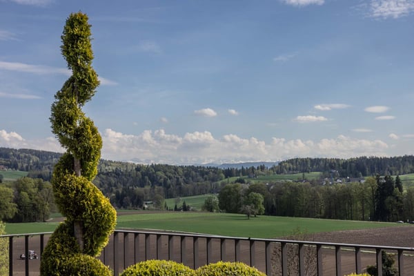 Exklusive 5.5-Zimmer-Attikawohnung mit grosser Terrasse und Weitsicht in Zumikon