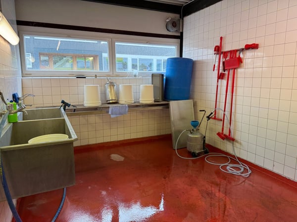 Industrie-/Gewerbehaus mit grossem Potenzial in Gossau 13