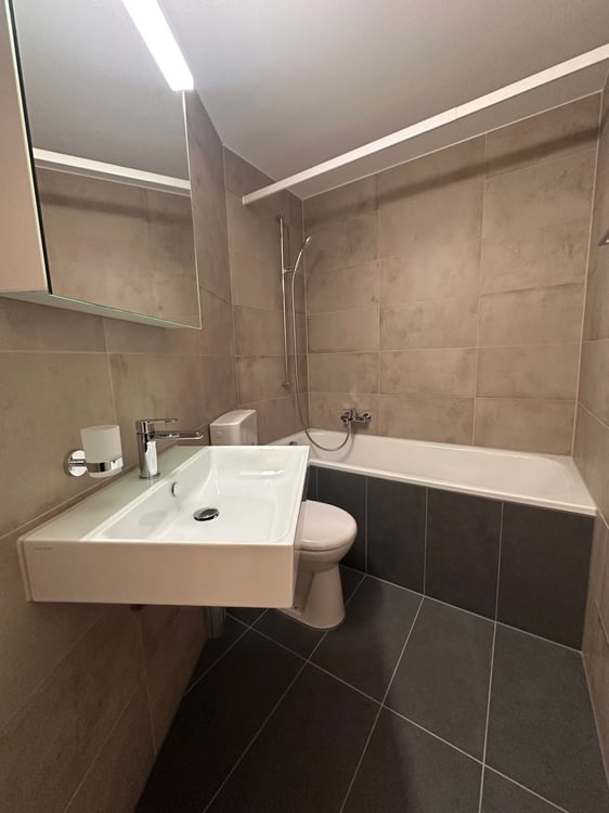 3.5 Zimmerwohnung im EG 4