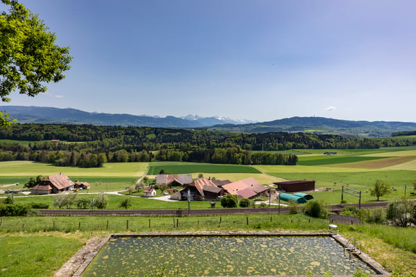 Propriété d'exception avec vue imprenable 12