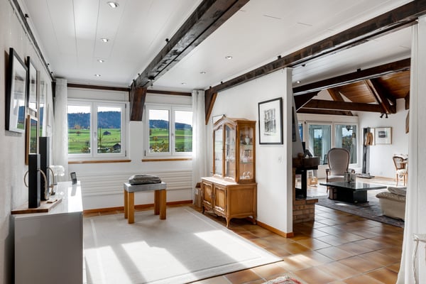 Maison familiale avec vaste atelier au sous-sol 3