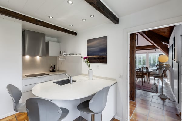 Maison familiale avec vaste atelier au sous-sol 10