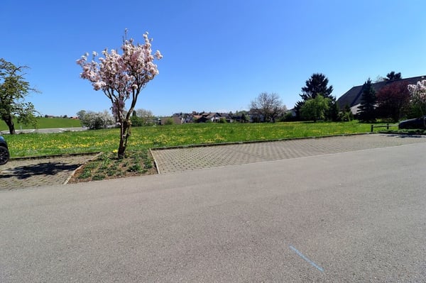 5½ pièces au rez avec terrasse et jardin 13