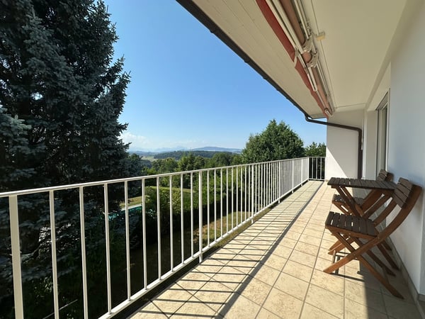 Propriété de 2 appartements de 4.5 pièces avec grand jardin et piscine 13