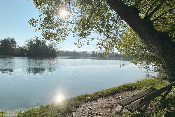 Grosszügige Dachwohnungen mit zwei Terrassen + schönem Ausblick 6