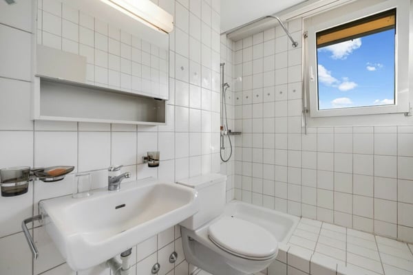 Wohnen mit Blick über die Dächer - 1.5-Zi. Attikawohnung mit 2 Terrassen und 2 AEP 12