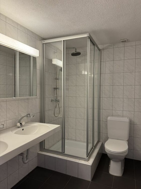 Gemütliche 5.5-Zimmer-Maisonette-Dachwohnung mit Sicht auf den Rhein 4