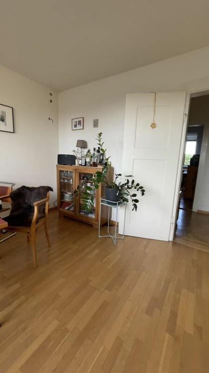 Charmante Altbau-Wohnung am Rütimeyerplatz 5