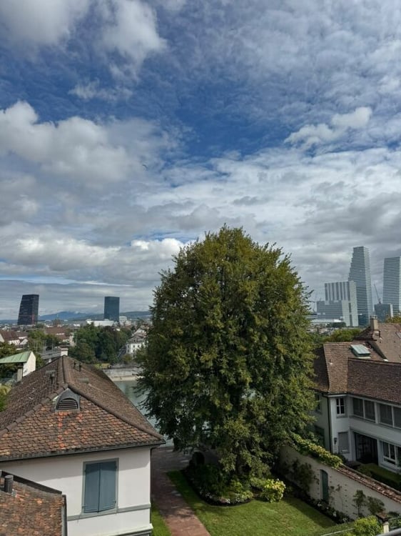 Ein Zuhause am Rhein - stilvolle 4-Zimmer-Maisonettewohnung in Basel 12