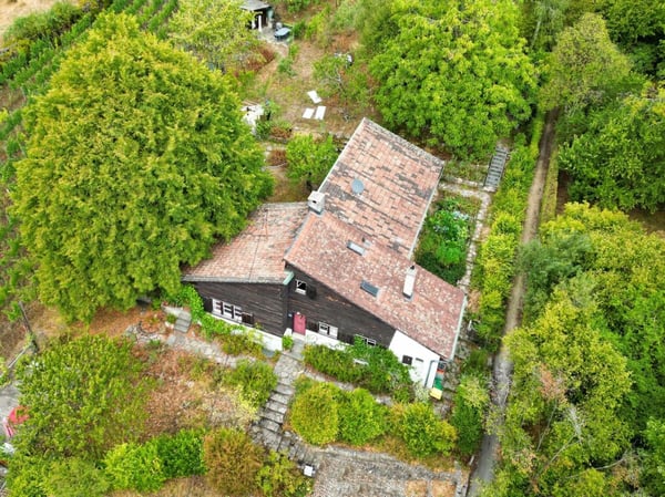 Haus
