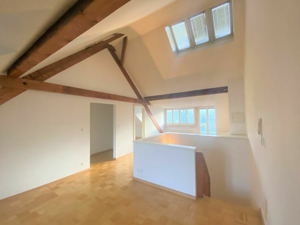 1.5 Zimmer-Dachwohnung im charmanten Baumgartnerhaus in Basel 2