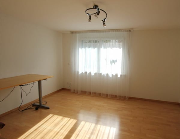 Modernes 5.5-Zimmer-Einfamilienhaus mit Garten 8