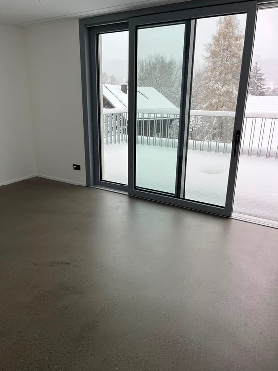 Modernes 9.5-Zimmer-Doppeleinfamilienhaus in St. Gallen 10