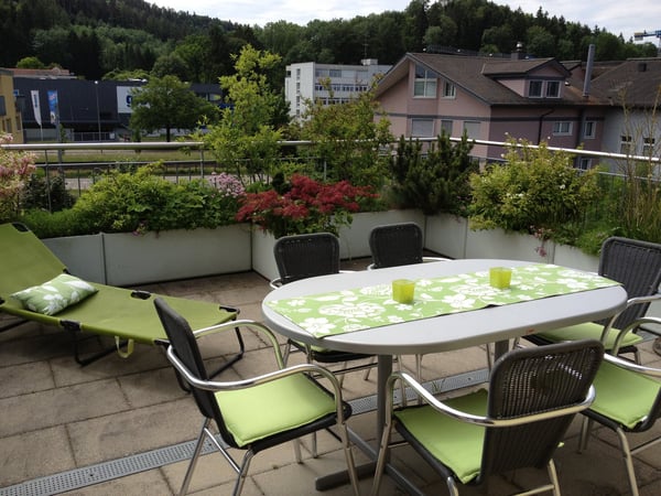 Charmante 4.5-Zimmer-Attika-Wohnung mit Aussicht in Winterthur Hegi 5