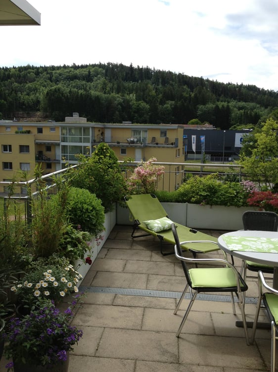 Charmante 4.5-Zimmer-Attika-Wohnung mit Aussicht in Winterthur Hegi 4