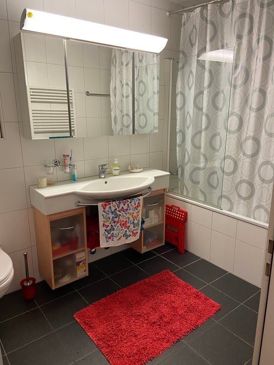Charmante 4.5-Zimmer-Attika-Wohnung mit Aussicht in Winterthur Hegi 13