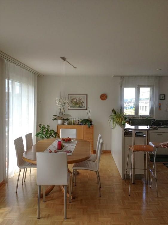 Charmante 4.5-Zimmer-Attika-Wohnung mit Aussicht in Winterthur Hegi 8