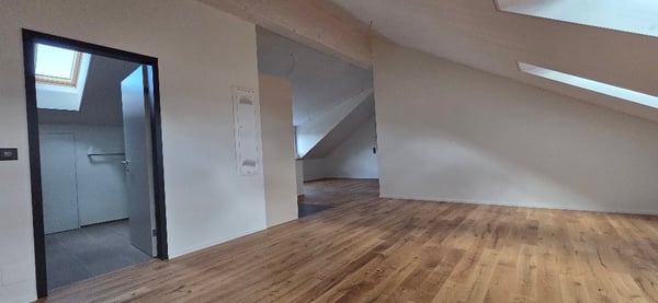 Erstvermietung Dachwohnungen in ruhigem Quartier 5