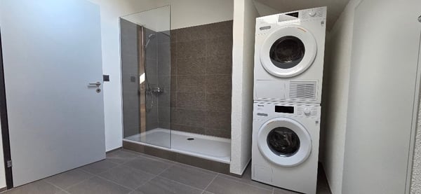 Erstvermietung Dachwohnungen in ruhigem Quartier 7