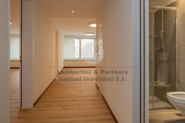 UFFICI LUMINOSI AL PENULTIMO PIANO 4