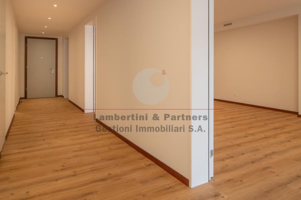 UFFICI LUMINOSI AL PENULTIMO PIANO 12