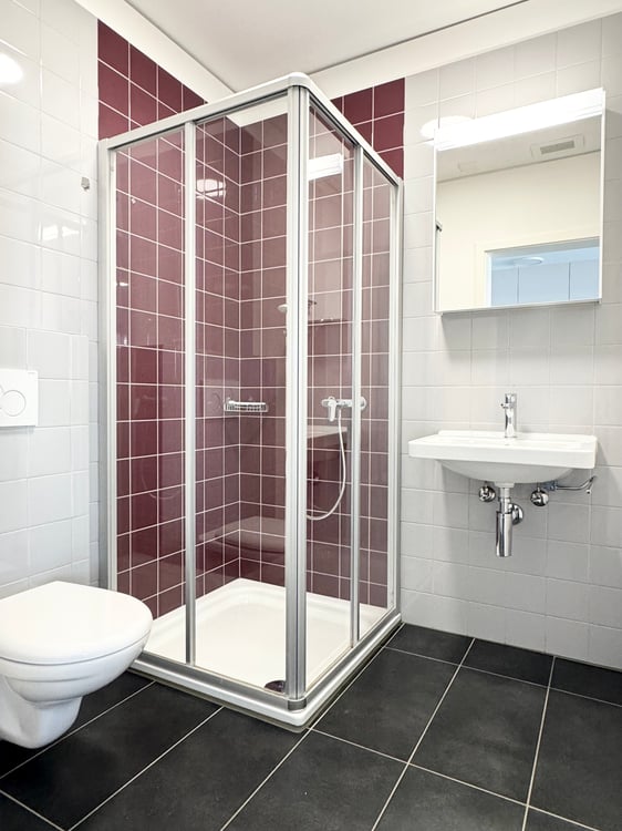 Ammobiliato, in posizione centrale e vicino ai principali servizi 8